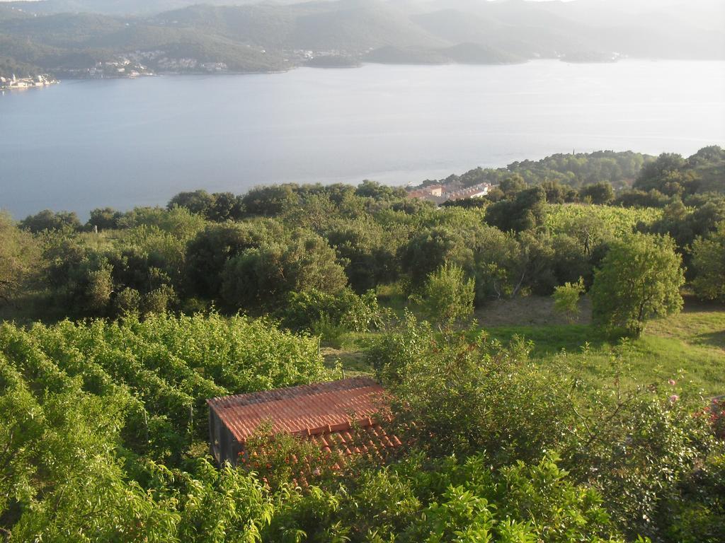 Apartment Bogoje Kuciste Bagian luar foto